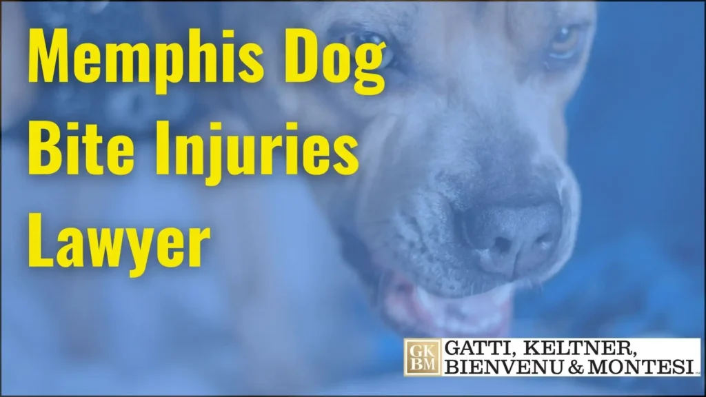 Memphis Dog Bite Injuries Lawyer